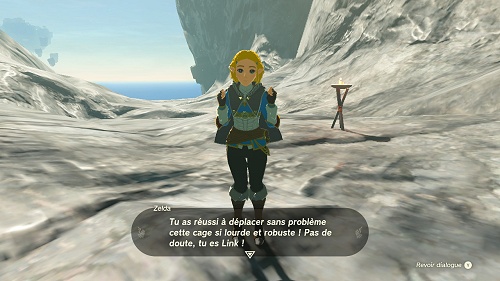 quête secondaire L'enlèvement de Zelda Tears of the Kingdom