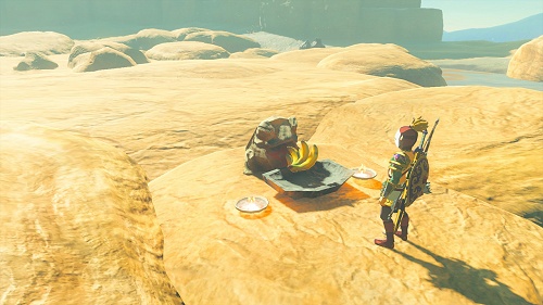 quête secondaire L'examen d'officier yiga Tears of the Kingdom