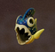 piranha Echoes of Wisdom