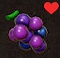 raisin potentio dans Echoes of Wisdom