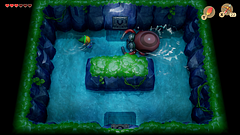 capture Link's Awakening Switch