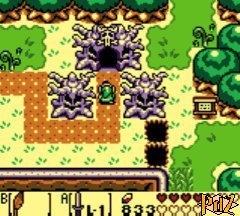 Scène 3 dans Link's Awakening