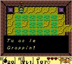 Solution De Links Awakening Temple Du Poisson Chat Le