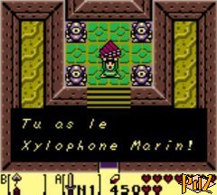 Solution De Links Awakening Temple Du Poisson Chat Le