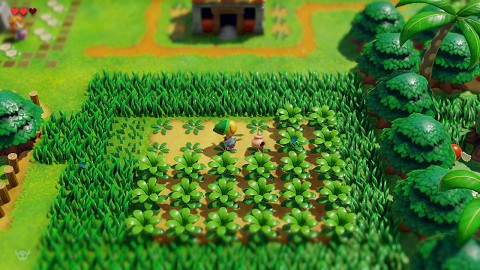 coquillage au Village des Mouettes Link's Awakening