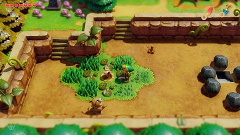coquillage dans la Plaine Cocolint Link's Awakening