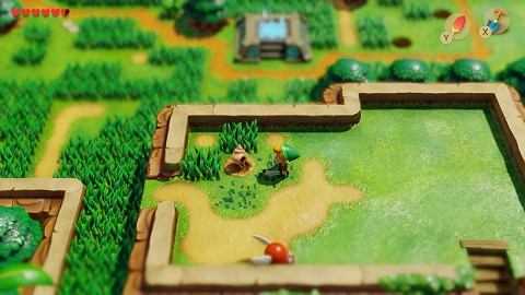 coquillage dans la Prairie Oukoukou Link's Awakening