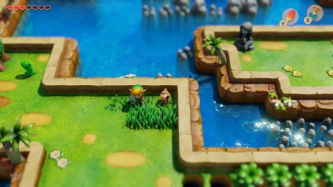 coquillage dans la Baie de Martha Link's Awakening