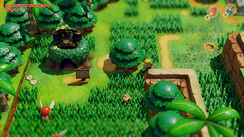coquillage dans la Prairie Oukoukou Link's Awakening