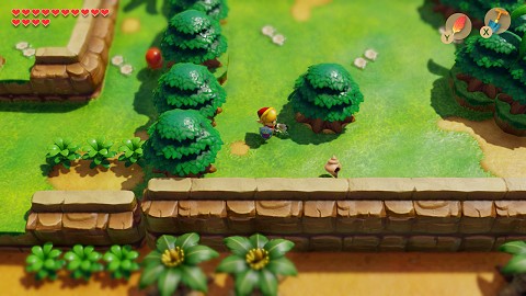 coquillage près de la Caverne Flagello Link's Awakening
