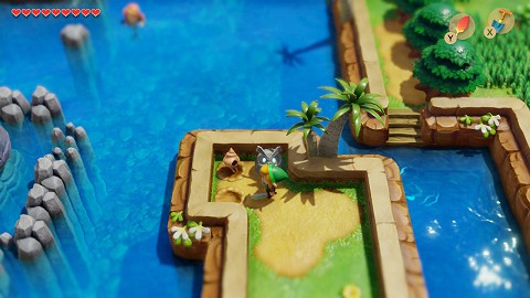 coquillage dans la Baie de Martha Link's Awakening
