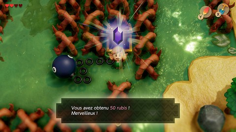 rubis au Marais des Anémones Link's Awakening