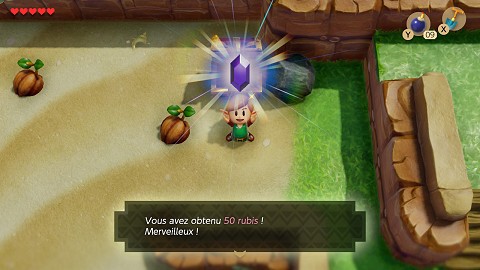 rubis à la Plage Coco Link's Awakening