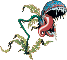 Baba mojo Ocarina of Time