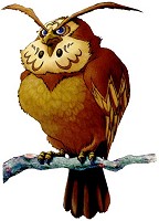 hibou