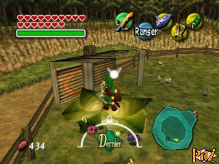 Haricots Magiques