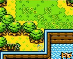 Graine Gasha plantée