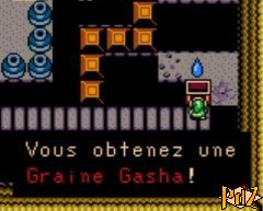 Graine Gasha 1