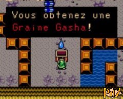 Graine Gasha 2