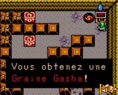 Graine Gasha 3