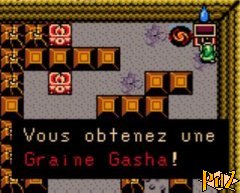 Graine Gasha 3