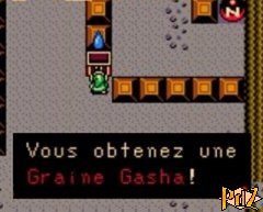 Graine Gasha 4