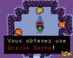 Graine Gasha 1