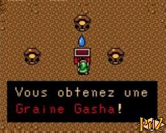 Graine Gasha 2