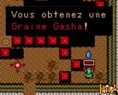 Graine Gasha 3